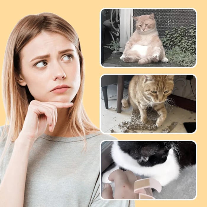 Mouse Toy for Cats and Dogs