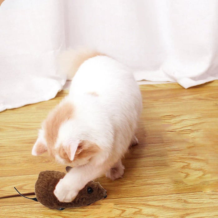 Mouse Toy for Cats and Dogs
