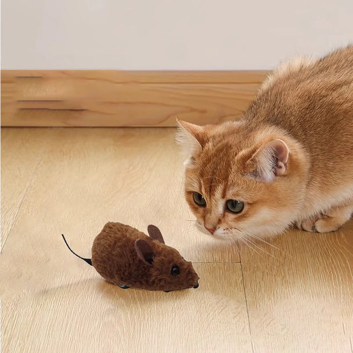 Mouse Toy for Cats and Dogs