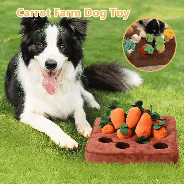 🐶Carrot Farm Dog Toy