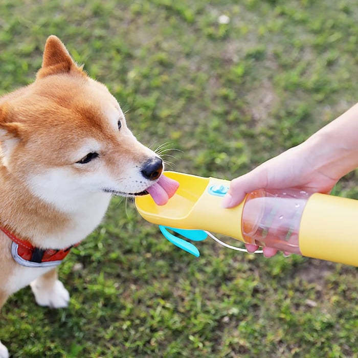Portable Pet Drinking Water Bottle🐕🐕