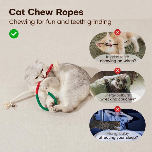 🔥HOT SALE 49% OFF😻3 pack Catnip chew rope toy – Natural, safe dental cleaner for indoor kittens