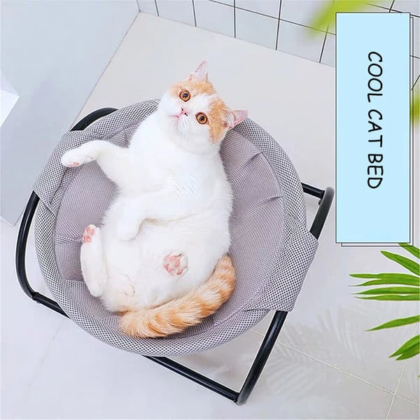 🔥🔥Floor Cat Hammock-With Stand
