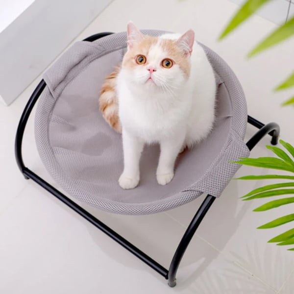 🔥🔥Floor Cat Hammock-With Stand