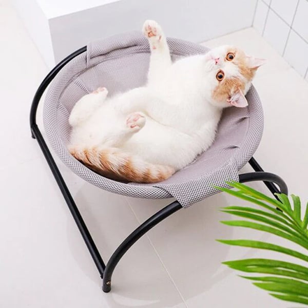 🔥🔥Floor Cat Hammock-With Stand