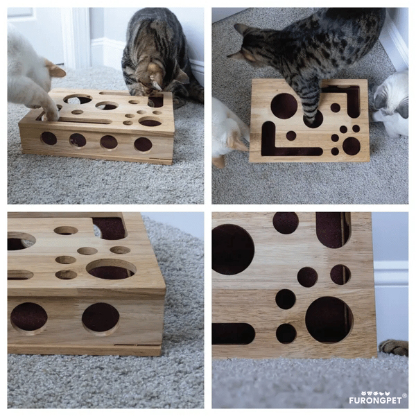 🎁😻✨Cat Scratch Puzzle Enrichment Box: Nail File Stress Free Alternative to Clippers and Grinders