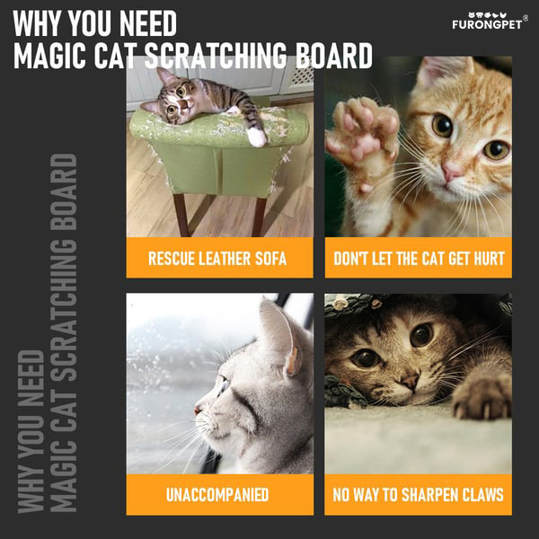 Magic Organ Cat Scratching Board--Comes with a toy bell ball