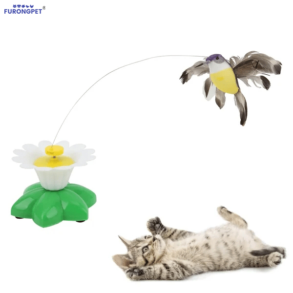 Electric bird teasing cat toy