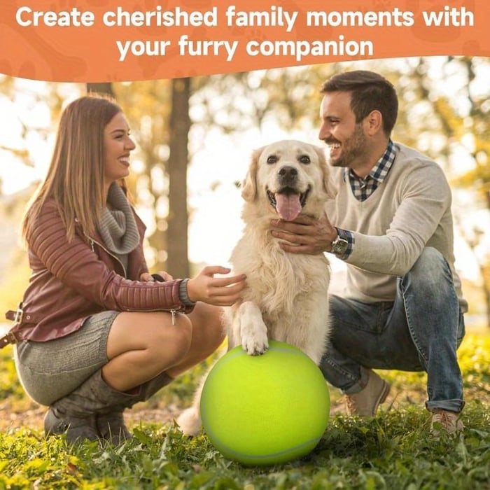 Dog Tennis Ball - Durable outdoor toys