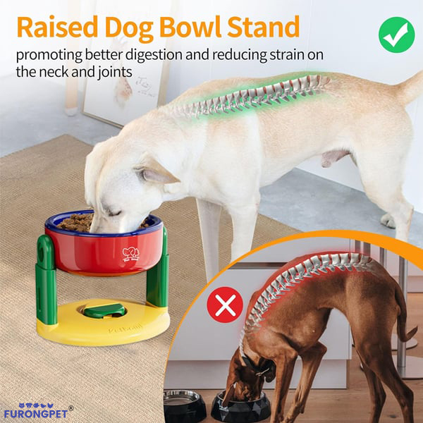 🔥2026 SALE - Liftable Suction Cup Pet Bowl