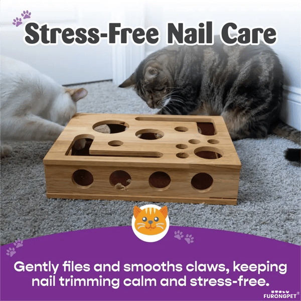🎁😻✨Cat Scratch Puzzle Enrichment Box: Nail File Stress Free Alternative to Clippers and Grinders