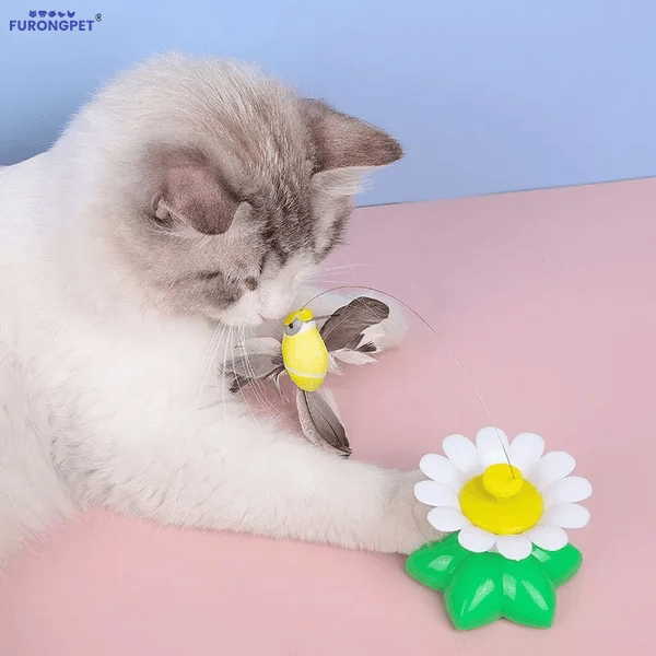 Electric bird teasing cat toy