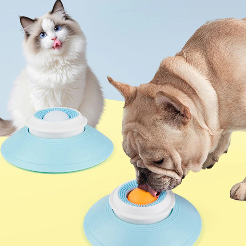 Make Mealtime Smarter, Slower, and More Enjoyable for Cats & Dogs🐶🐱