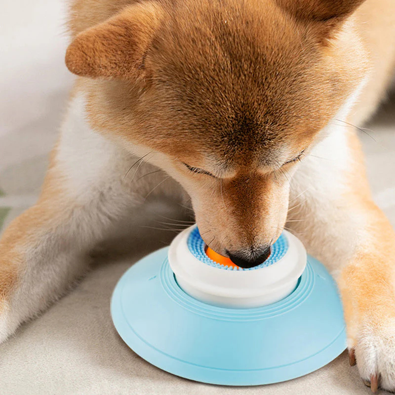 Make Mealtime Smarter, Slower, and More Enjoyable for Cats & Dogs🐶🐱