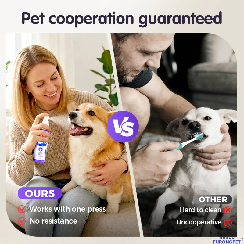 🐱🐶🦷Teeth Cleaning Spray for Pets