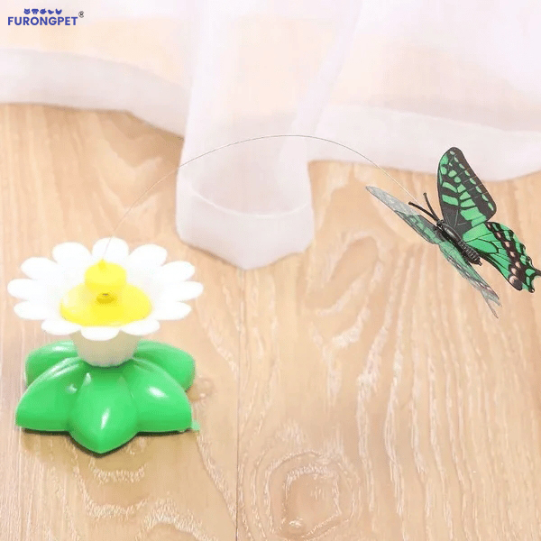 Electric bird teasing cat toy