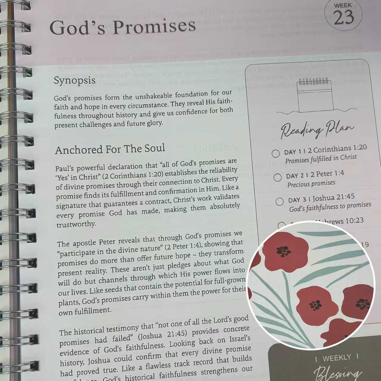 The Bible In A Year: A 52-Week Journey Through God's Word