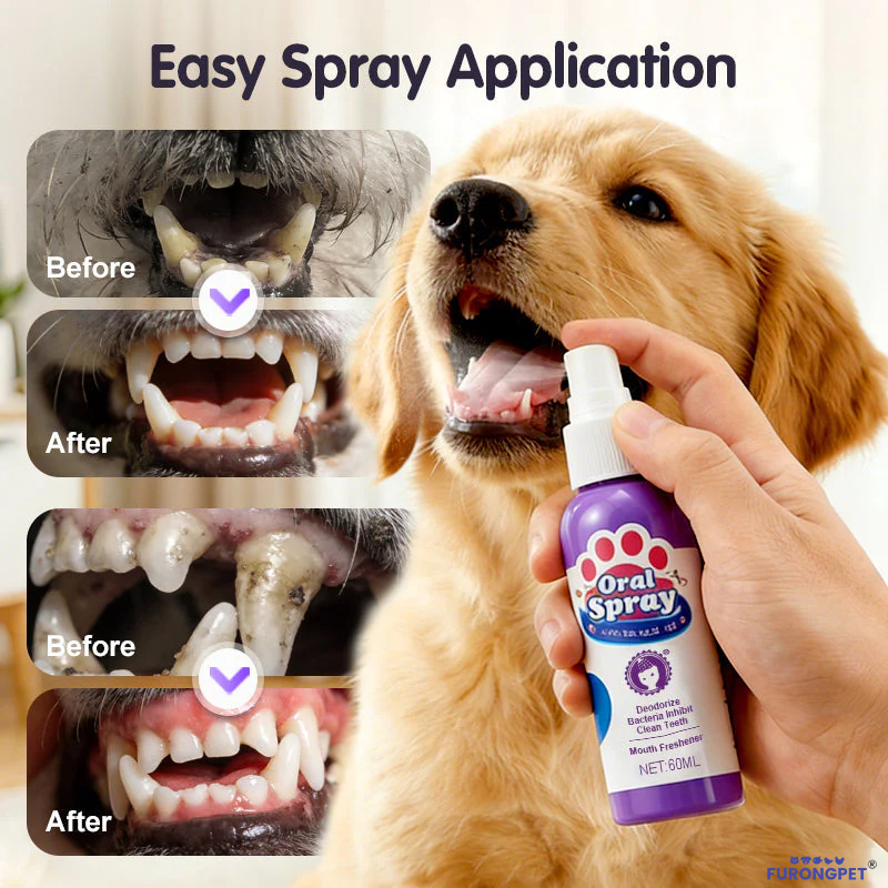 🐱🐶🦷Teeth Cleaning Spray for Pets
