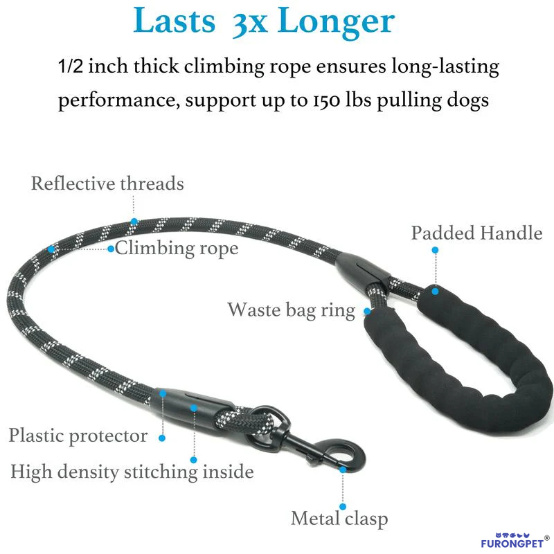 🐶Heavy Duty Dog Leash with Shock Absorbing Bungee for Walking 2 Dogs (25-150 lbs)