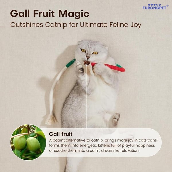 🔥HOT SALE 49% OFF😻3 pack Catnip chew rope toy – Natural, safe dental cleaner for indoor kittens