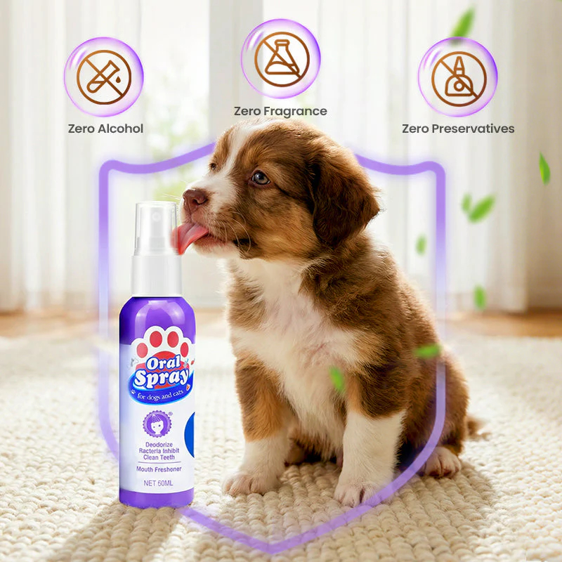 🐱🐶🦷Teeth Cleaning Spray for Pets