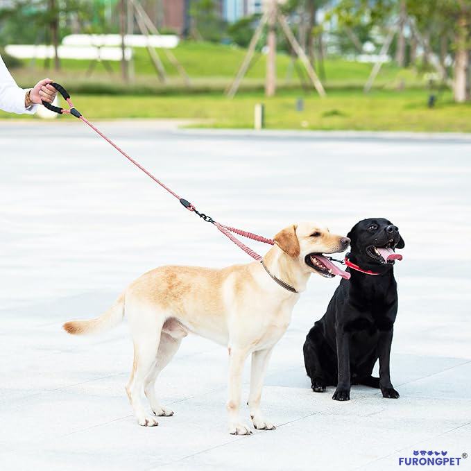 🐶Heavy Duty Dog Leash with Shock Absorbing Bungee for Walking 2 Dogs (25-150 lbs)