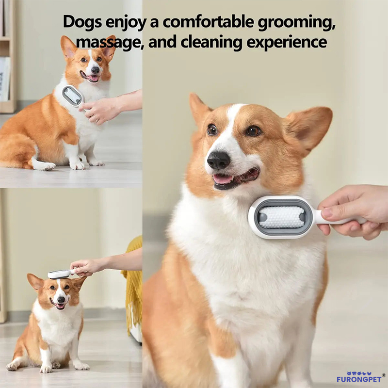 3-in-1 Pet Brush with Water Tank for Cats & Dogs