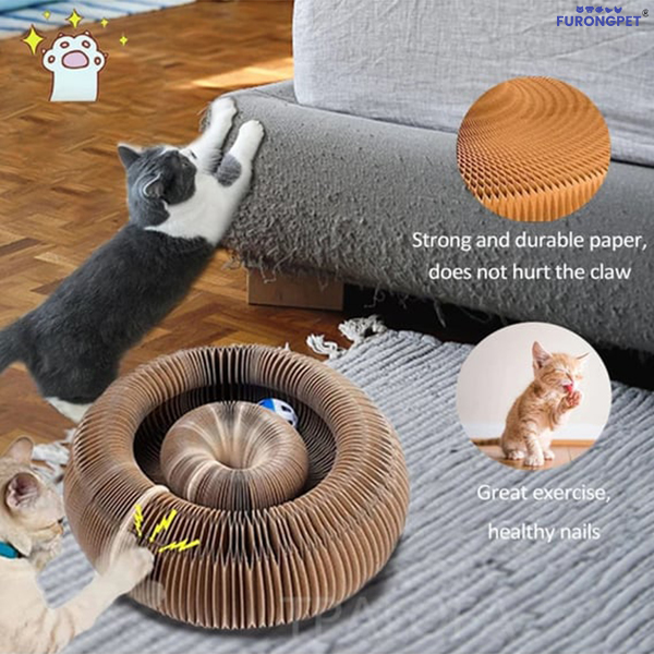 Magic Organ Cat Scratching Board--Comes with a toy bell ball
