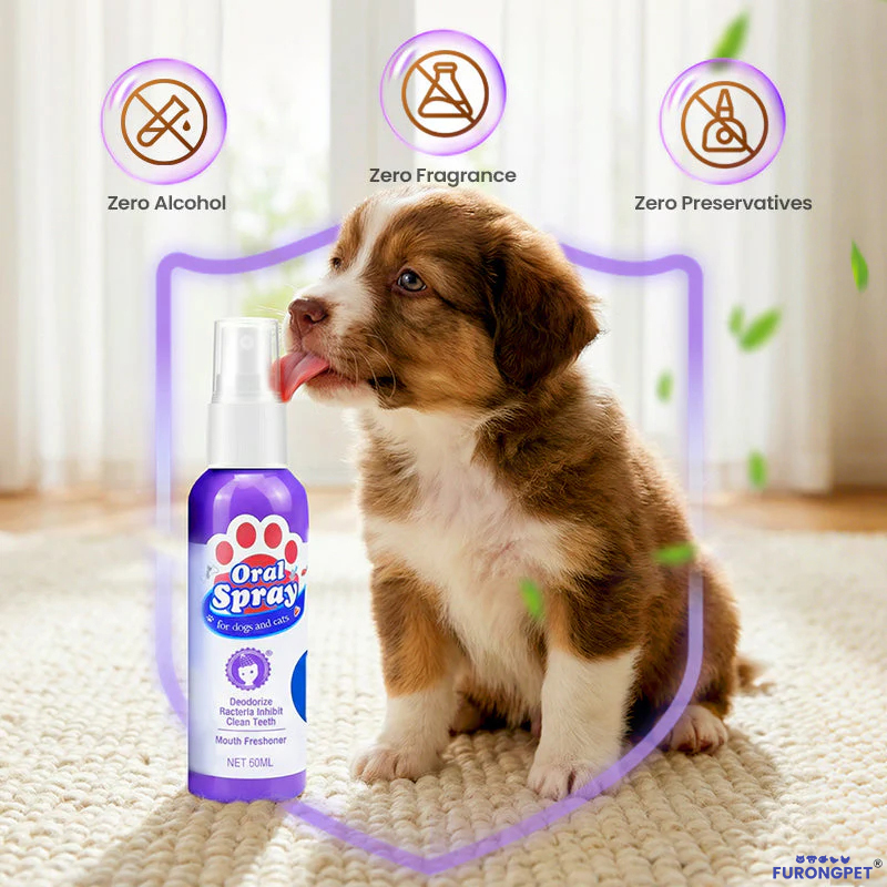 🐱🐶🦷Teeth Cleaning Spray for Pets