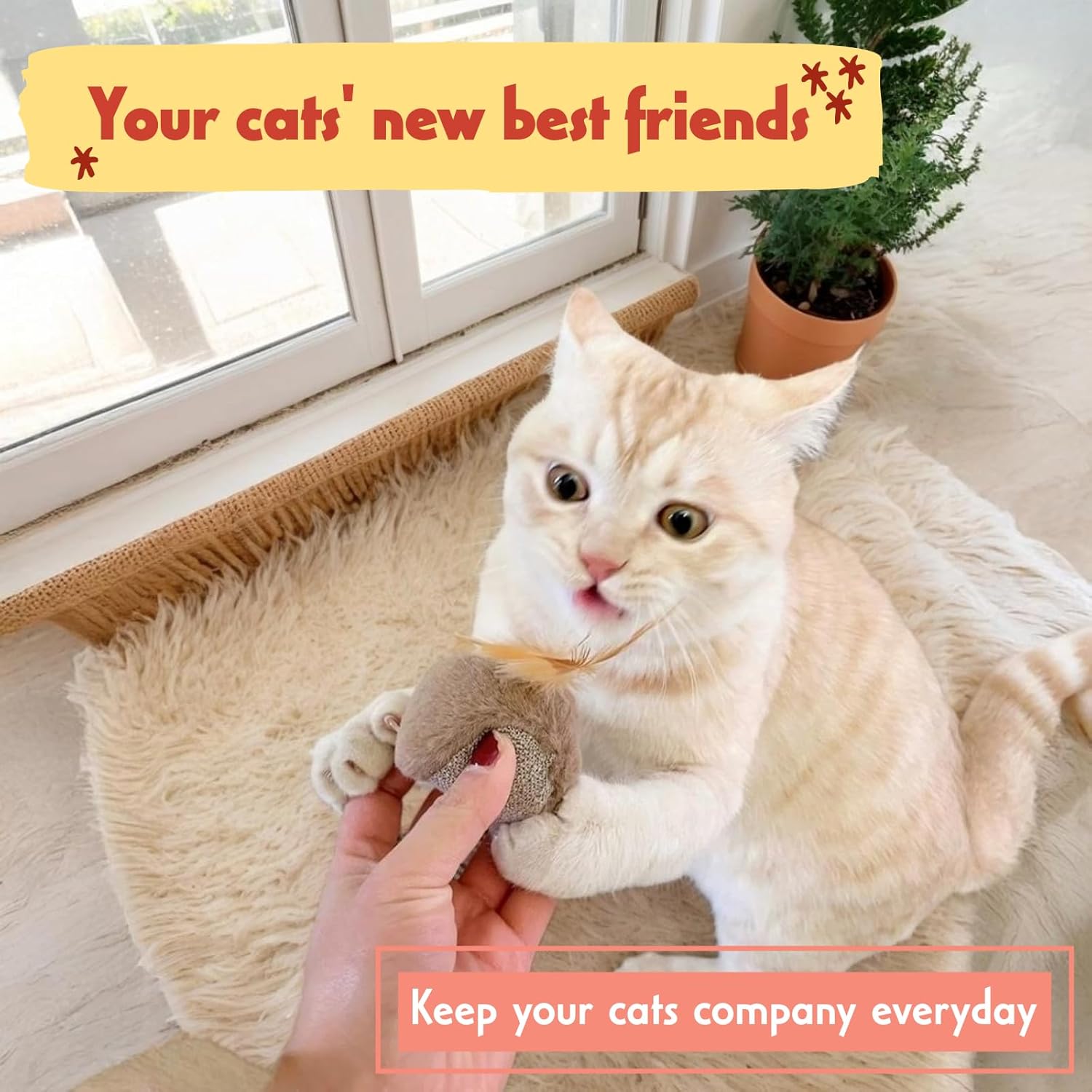 Owl Cat Toy for Self-Amusement and Stress Relief with Catnip