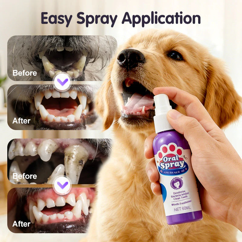 🐱🐶🦷Teeth Cleaning Spray for Pets