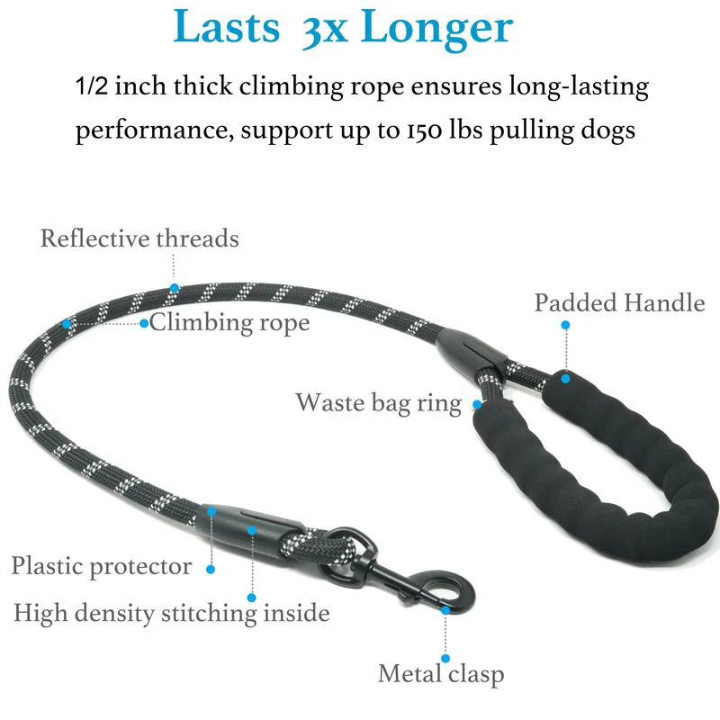 🐶Heavy Duty Dog Leash with Shock Absorbing Bungee for Walking 2 Dogs (25-150 lbs)