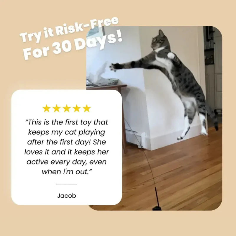 Interactive Cat Toy Set