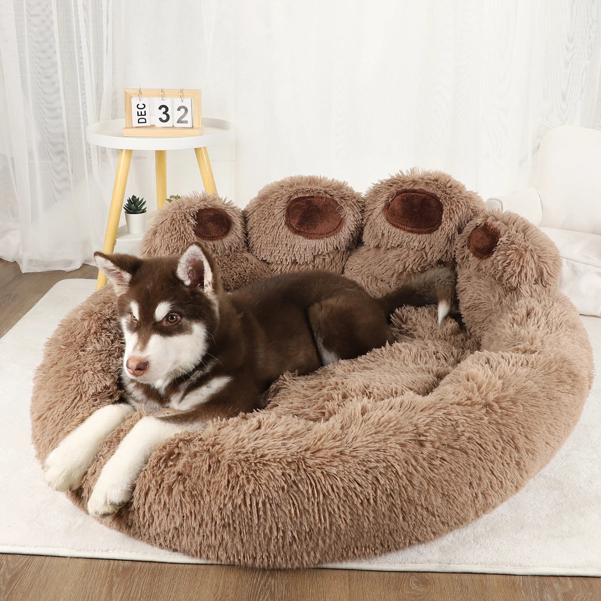 Cozy & Comfortable Dog Beds: Perfect for Small, Medium & Large Breeds