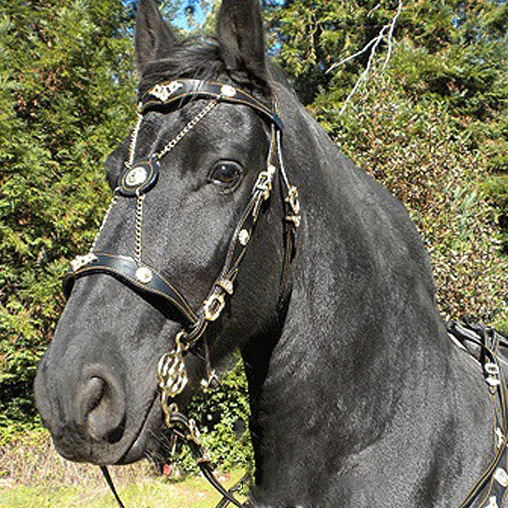 Leather Horse Halter with Adjustable Metal Buckle Outdoor Riding Universal Bridle for Horses,Blue