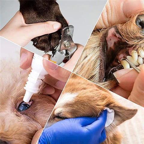 Pet Grooming Hammock