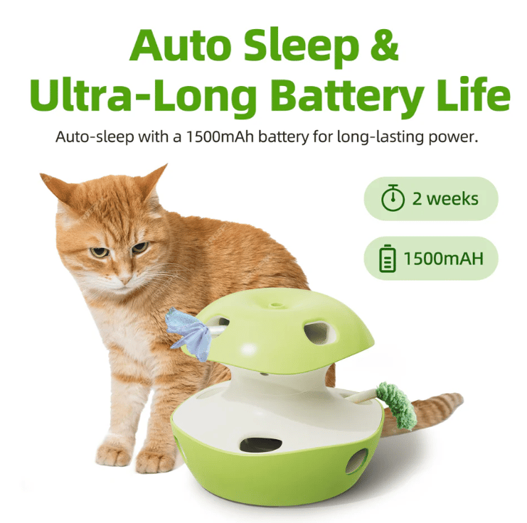 Interactive Apple Cat Toys
