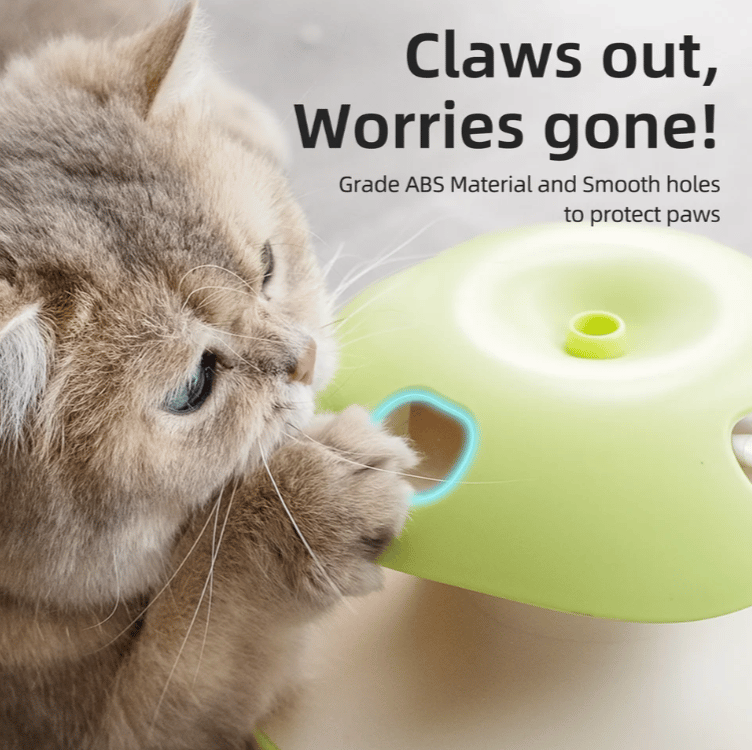 Interactive Apple Cat Toys