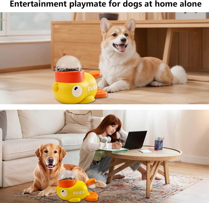 Pet interaction snack dispenser toy