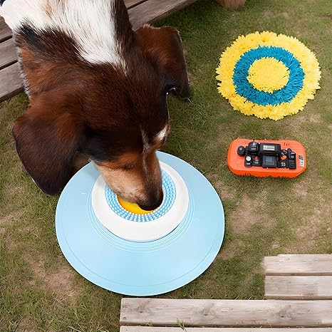 Make Mealtime Smarter, Slower, and More Enjoyable for Cats & Dogs🐶🐱