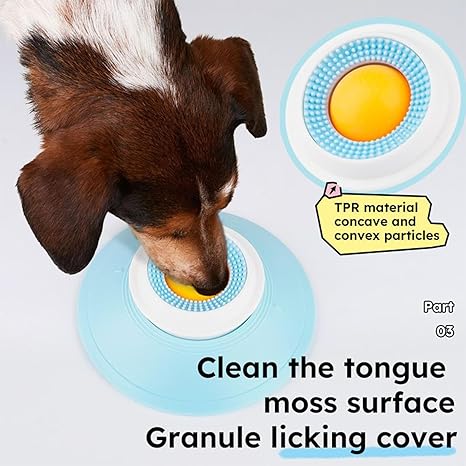 Make Mealtime Smarter, Slower, and More Enjoyable for Cats & Dogs🐶🐱