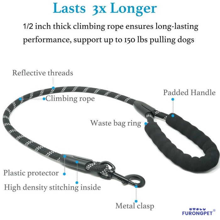 Heavy Duty Dog Leash with Shock Absorbing Bungee