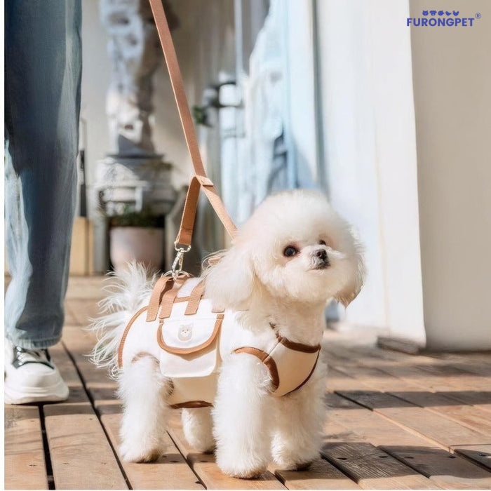 EasyGo Crossbody Pet Carrier Harness