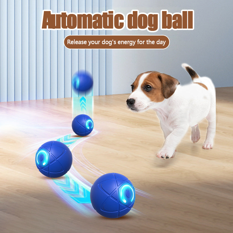 Interactive USB‑Rechargeable Bouncing Ball Toy for Dogs