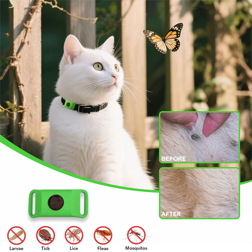 Flea & Tick Collar