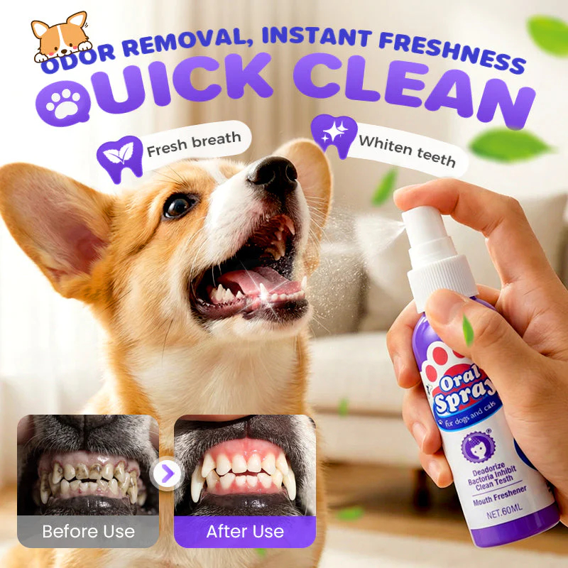 🐱🐶🦷Teeth Cleaning Spray for Pets