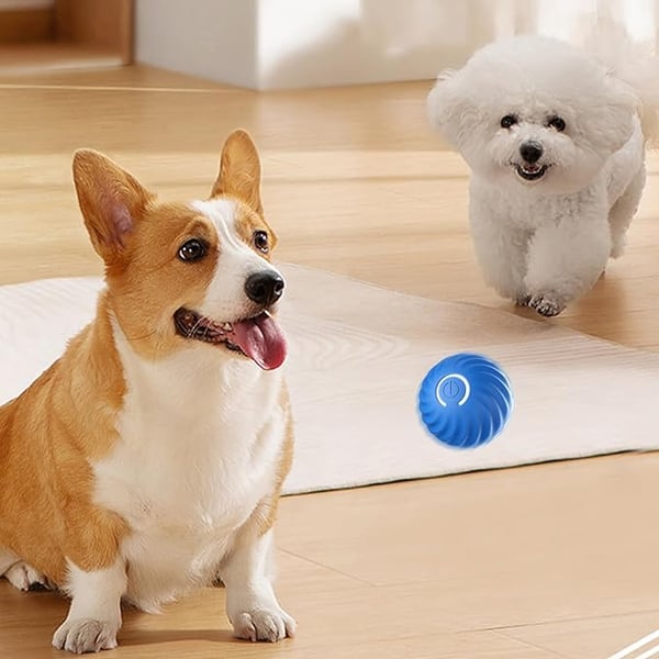 Automatic smart teasing dog ball that can't be bitten🐶