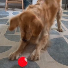 Bouncing ball in action