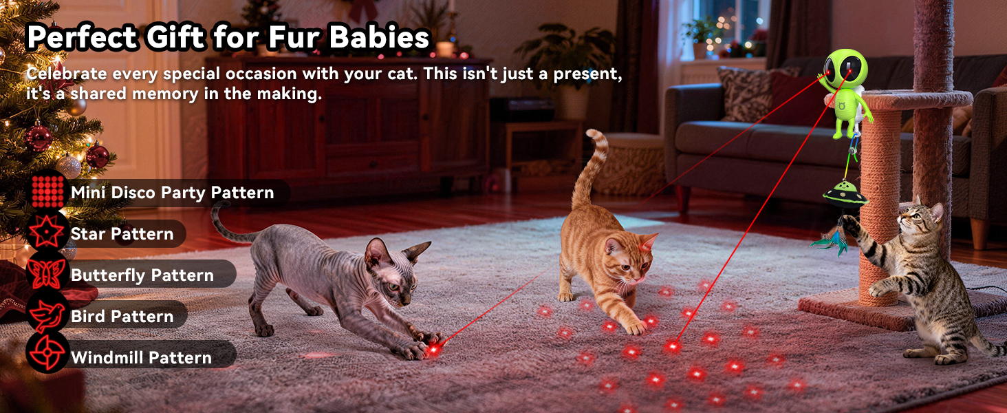 automatic cat toy