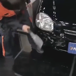 b0db160929284190ac3291ce3ebde63f.gif?w=300&h=300&_f=1